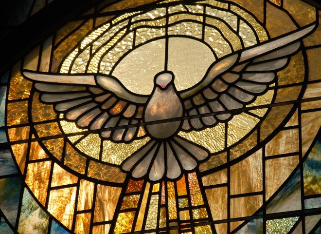 Dove, Detail. St. Stephen  Tinley Park,IL